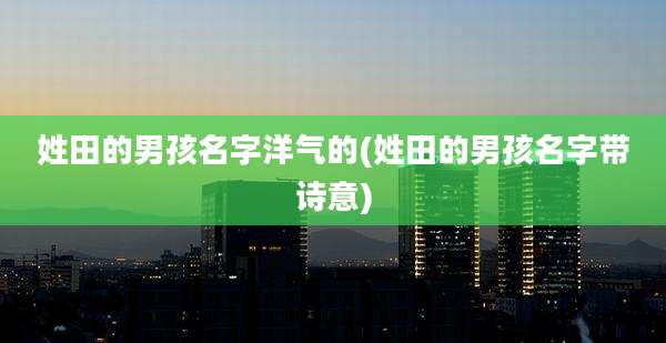 姓田的男孩名字洋气的(姓田的男孩名字带诗意)