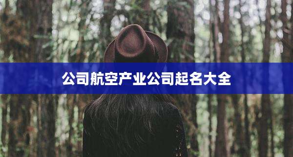 公司航空产业公司起名大全