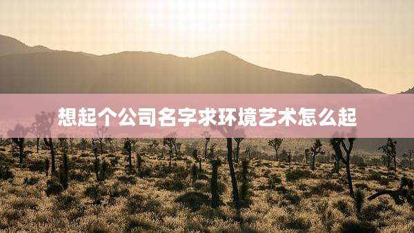 想起个公司名字求环境艺术怎么起