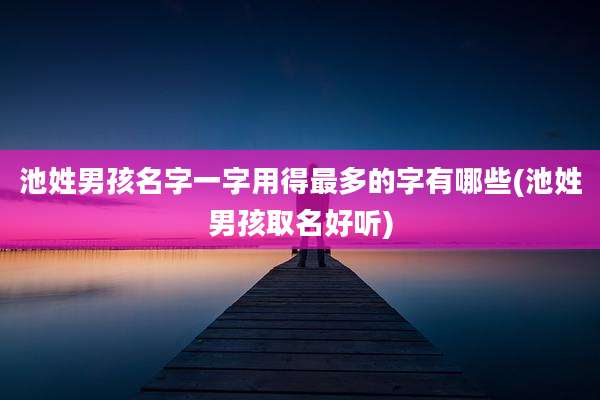 池姓男孩名字一字用得最多的字有哪些(池姓男孩取名好听)