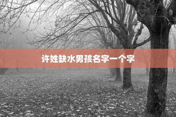 许姓缺水男孩名字一个字