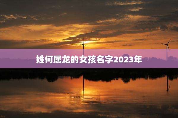 姓何属龙的女孩名字2023年