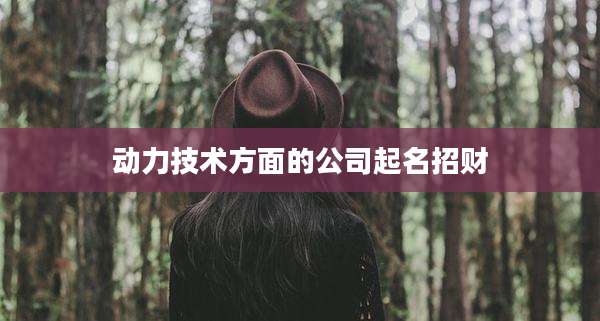 动力技术方面的公司起名招财