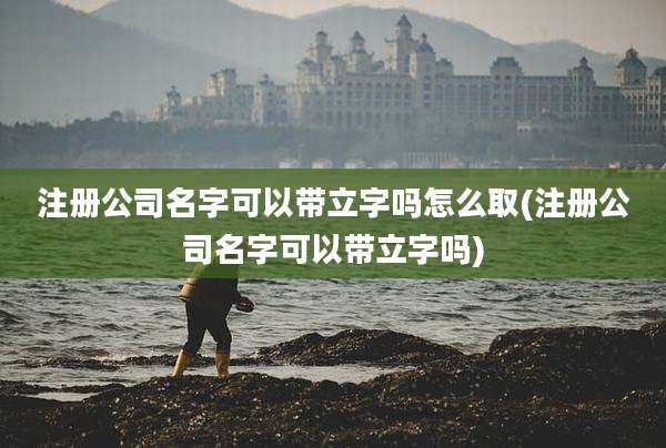 注册公司名字可以带立字吗怎么取(注册公司名字可以带立字吗)