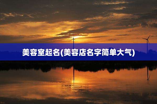 美容室起名(美容店名字简单大气)
