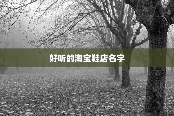 好听的淘宝鞋店名字