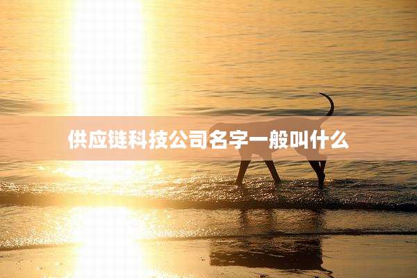 供应链科技公司名字一般叫什么