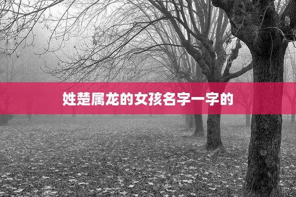 姓楚属龙的女孩名字一字的