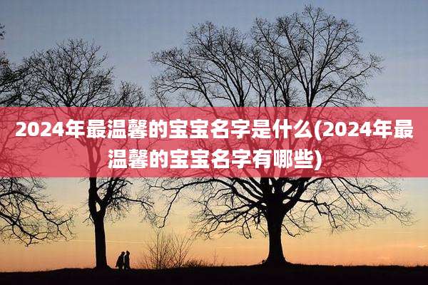 2024年最温馨的宝宝名字是什么(2024年最温馨的宝宝名字有哪些)