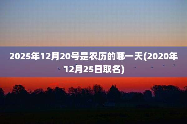 2025年12月20号是农历的哪一天(2020年12月25日取名)