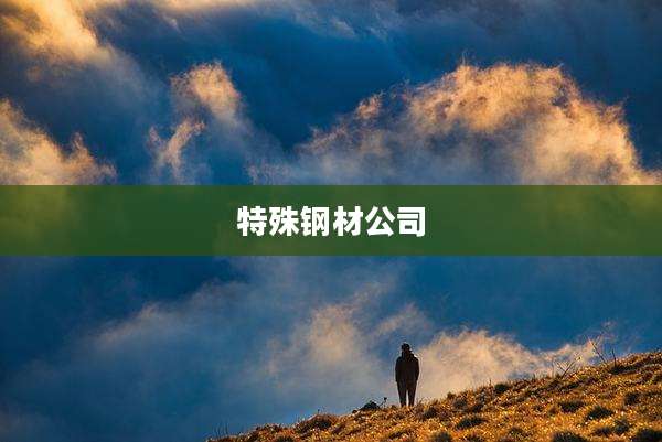 特殊钢材公司