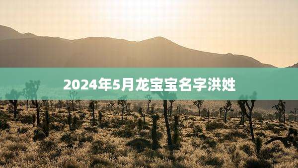 2024年5月龙宝宝名字洪姓