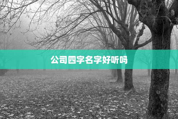 公司四字名字好听吗