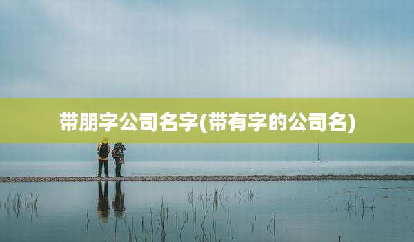带朋字公司名字(带有字的公司名)