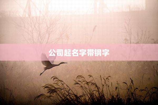 公司起名字带钢字