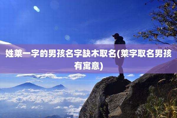 姓莱一字的男孩名字缺木取名(莱字取名男孩有寓意)