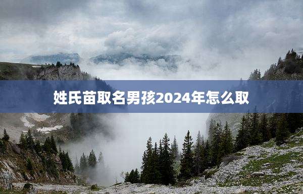 姓氏苗取名男孩2024年怎么取