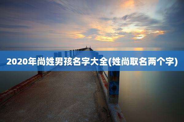 2020年尚姓男孩名字大全(姓尚取名两个字)