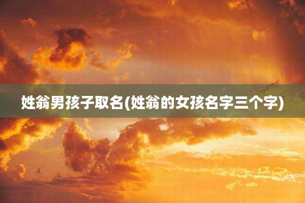 姓翁男孩子取名(姓翁的女孩名字三个字)