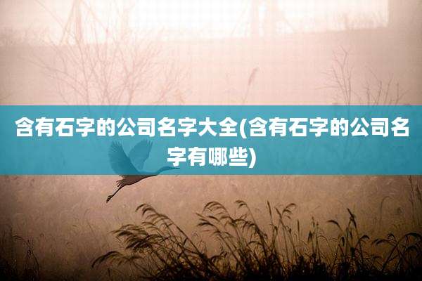 含有石字的公司名字大全(含有石字的公司名字有哪些)