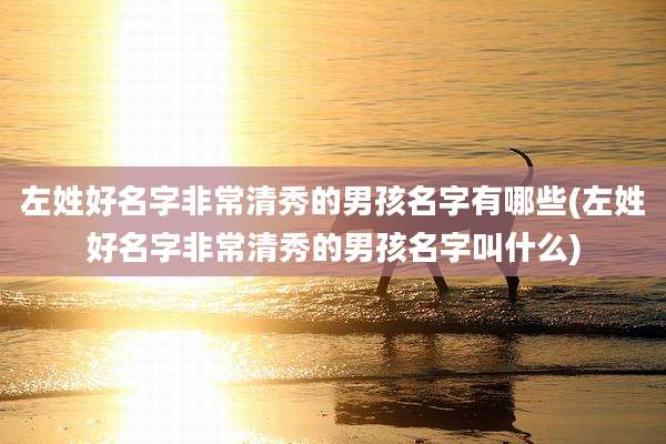 左姓好名字非常清秀的男孩名字有哪些(左姓好名字非常清秀的男孩名字叫什么)