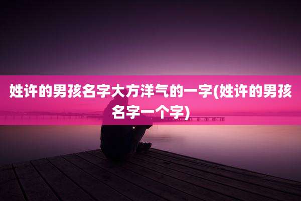 姓许的男孩名字大方洋气的一字(姓许的男孩名字一个字)