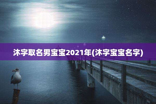 沐字取名男宝宝2021年(沐字宝宝名字)