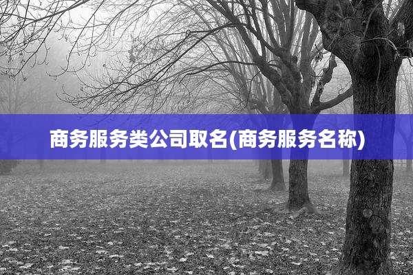 商务服务类公司取名(商务服务名称)