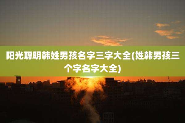 阳光聪明韩姓男孩名字三字大全(姓韩男孩三个字名字大全)