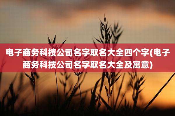 电子商务科技公司名字取名大全四个字(电子商务科技公司名字取名大全及寓意)
