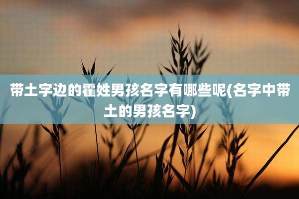 带土字边的霍姓男孩名字有哪些呢(名字中带土的男孩名字)