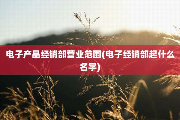 电子产品经销部营业范围(电子经销部起什么名字)
