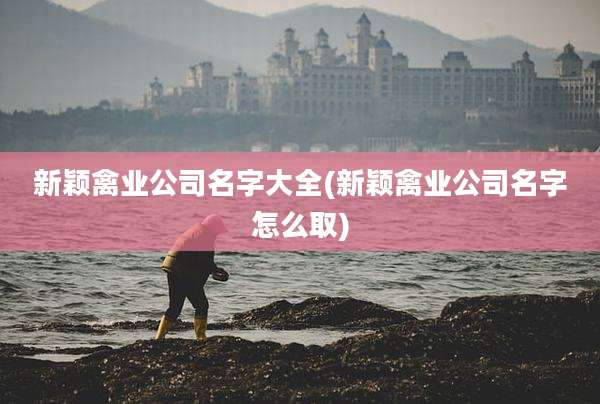 新颖禽业公司名字大全(新颖禽业公司名字怎么取)