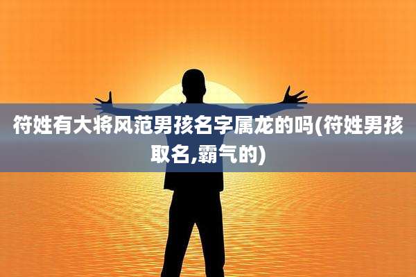 符姓有大将风范男孩名字属龙的吗(符姓男孩取名,霸气的)