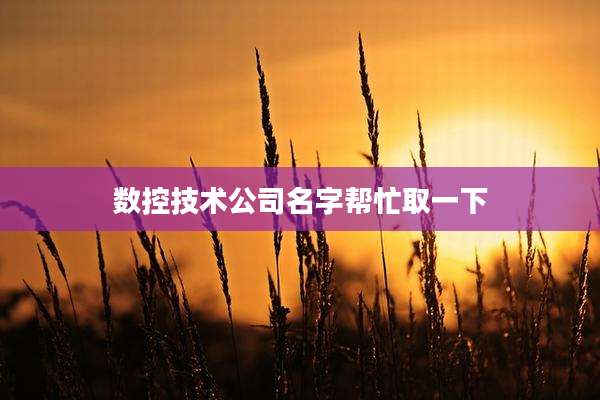 数控技术公司名字帮忙取一下
