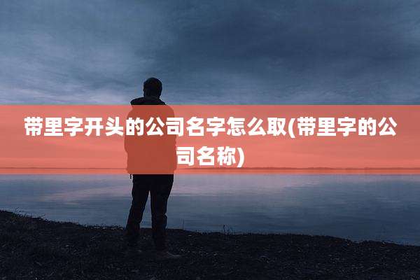 带里字开头的公司名字怎么取(带里字的公司名称)