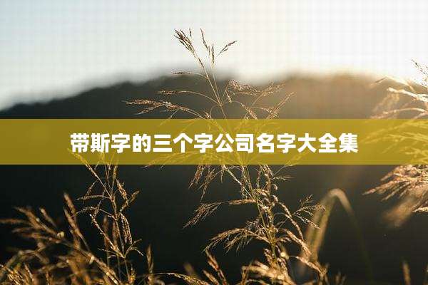 带斯字的三个字公司名字大全集