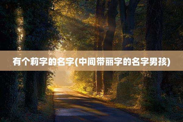 有个莉字的名字(中间带丽字的名字男孩)