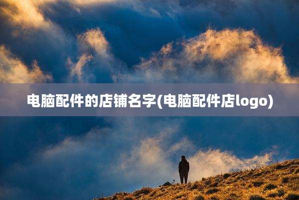 电脑配件的店铺名字(电脑配件店logo)