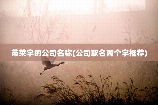 带莱字的公司名称(公司取名两个字推荐)