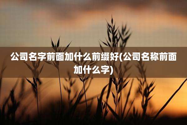 公司名字前面加什么前缀好(公司名称前面加什么字)