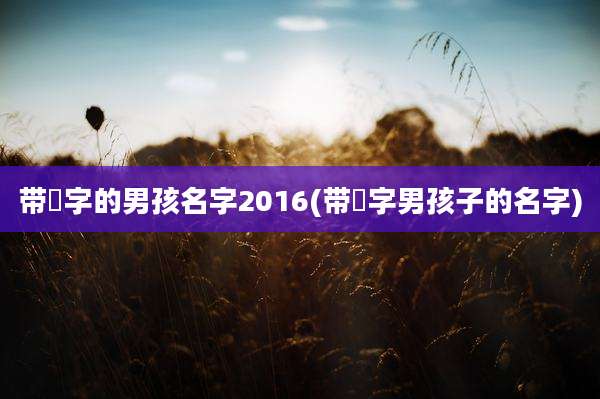 带堉字的男孩名字2016(带珵字男孩子的名字)