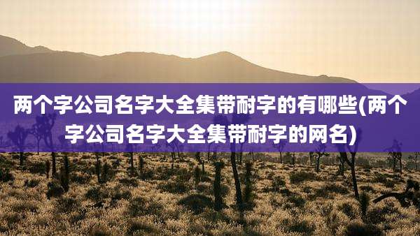 两个字公司名字大全集带耐字的有哪些(两个字公司名字大全集带耐字的网名)