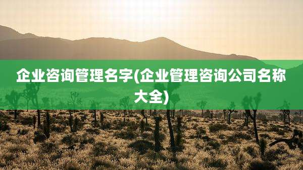 企业咨询管理名字(企业管理咨询公司名称大全)