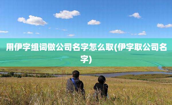 用伊字组词做公司名字怎么取(伊字取公司名字)