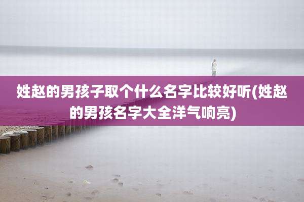 姓赵的男孩子取个什么名字比较好听(姓赵的男孩名字大全洋气响亮)