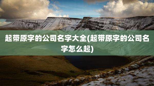 起带原字的公司名字大全(起带原字的公司名字怎么起)