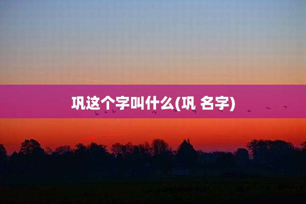 巩这个字叫什么(巩 名字)