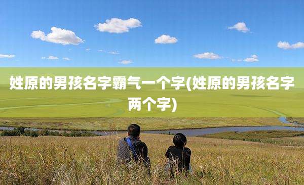 姓原的男孩名字霸气一个字(姓原的男孩名字两个字)