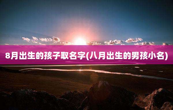 8月出生的孩子取名字(八月出生的男孩小名)